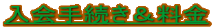 ����葱��������